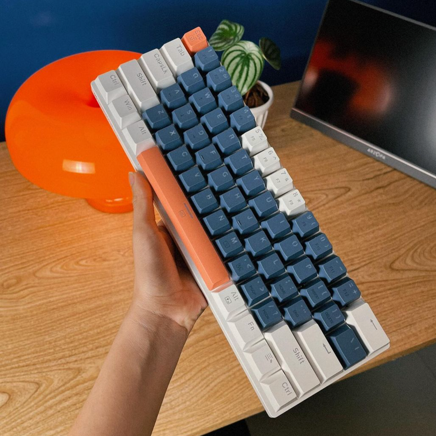 Mechanical Gaming Keyboard Wired 60% Layout